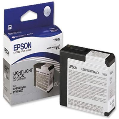 Genuine Epson C13T580900 Light Light Black Ink Cartridge (T5809LLBKOEM)